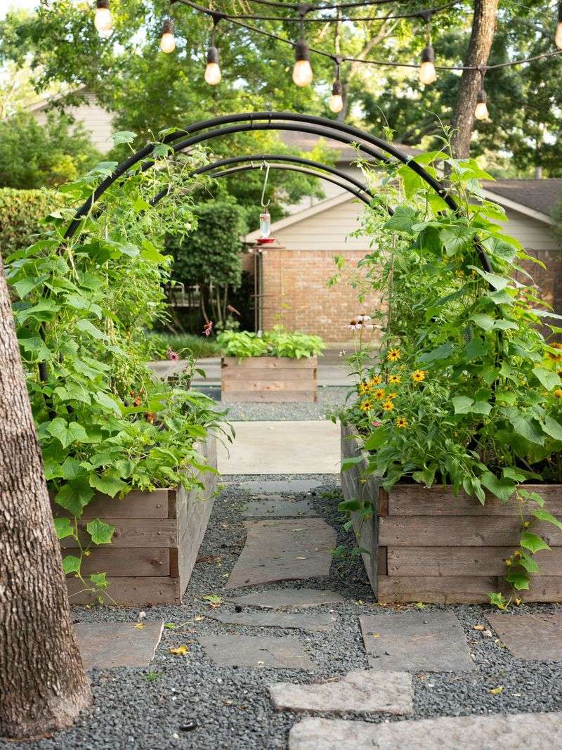 Install inexpensive trellises for climbing plants