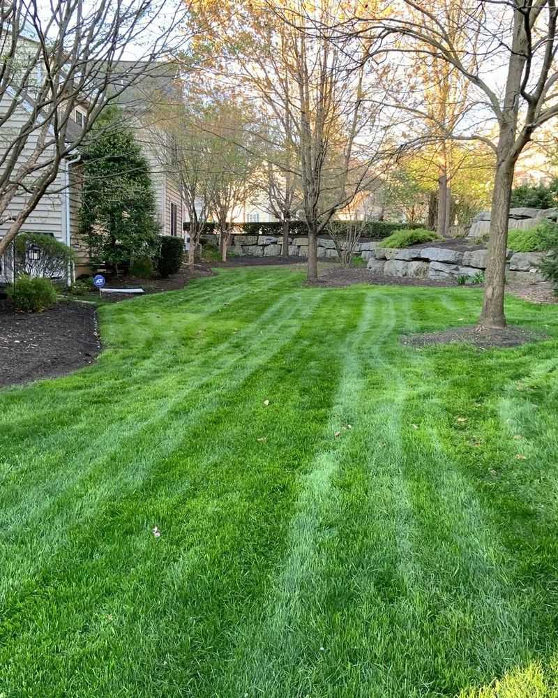 Planting Dense Grass