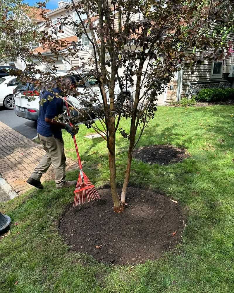 Mulching for Moisture and Protection