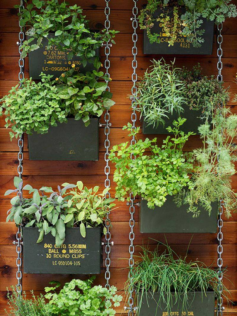 Grow herbs in hanging baskets for vertical space