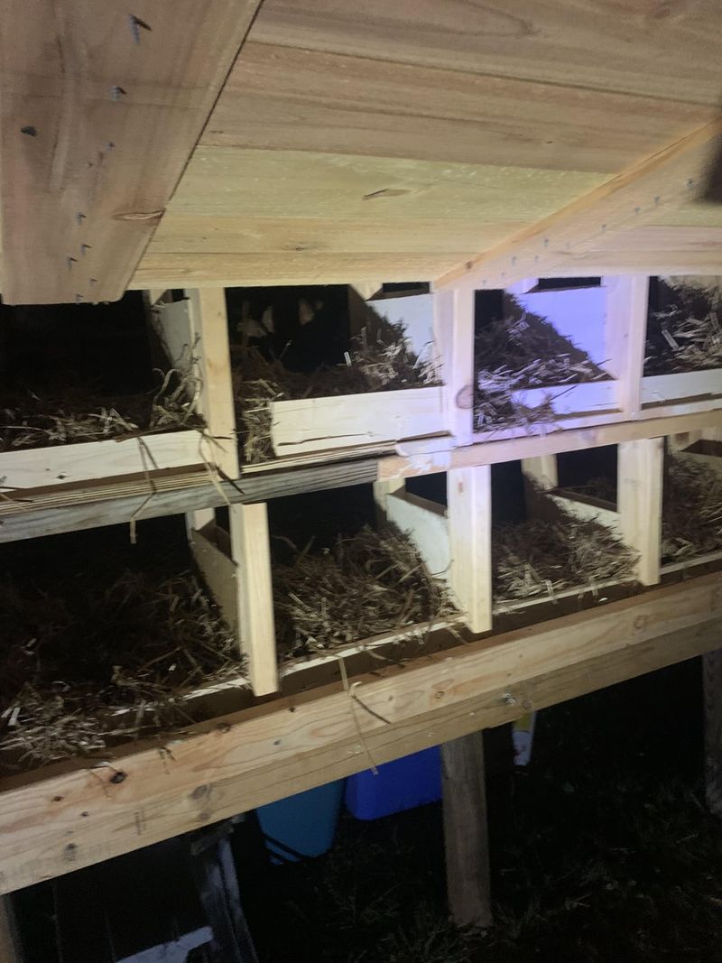 Install Nesting Boxes