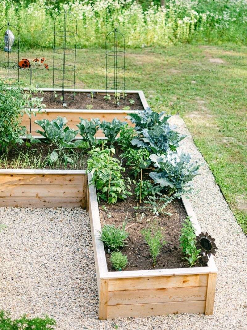 Plan Your Garden Layout