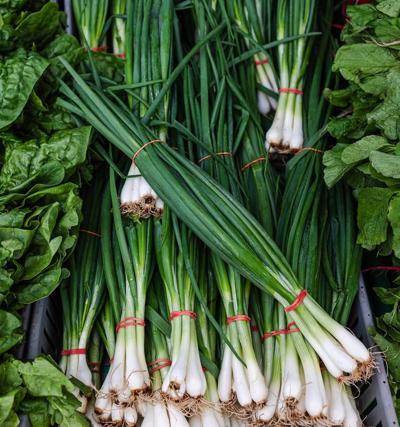 Spring Onions