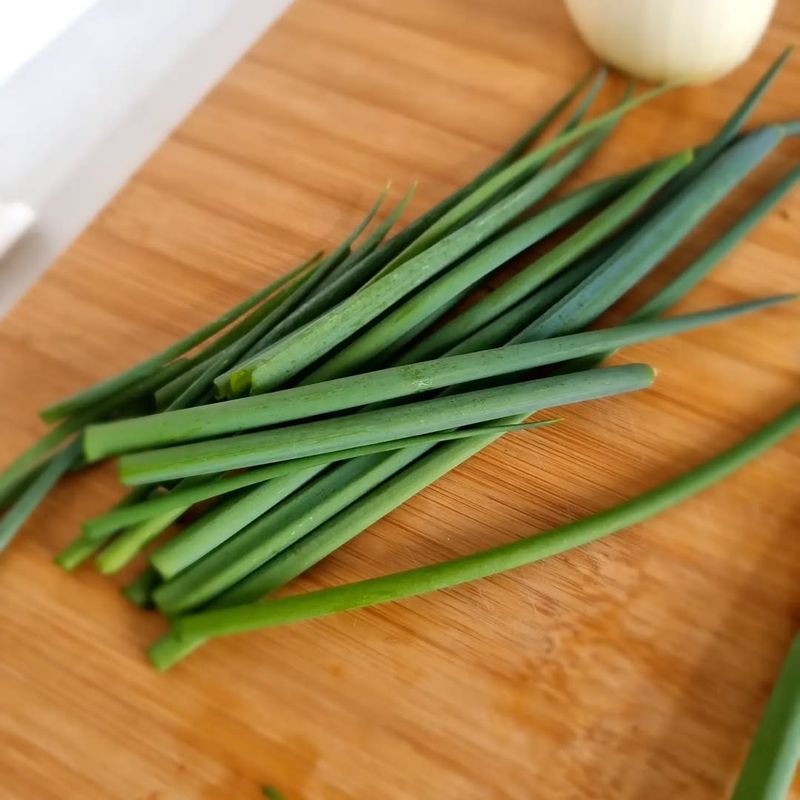 Welsh Onion