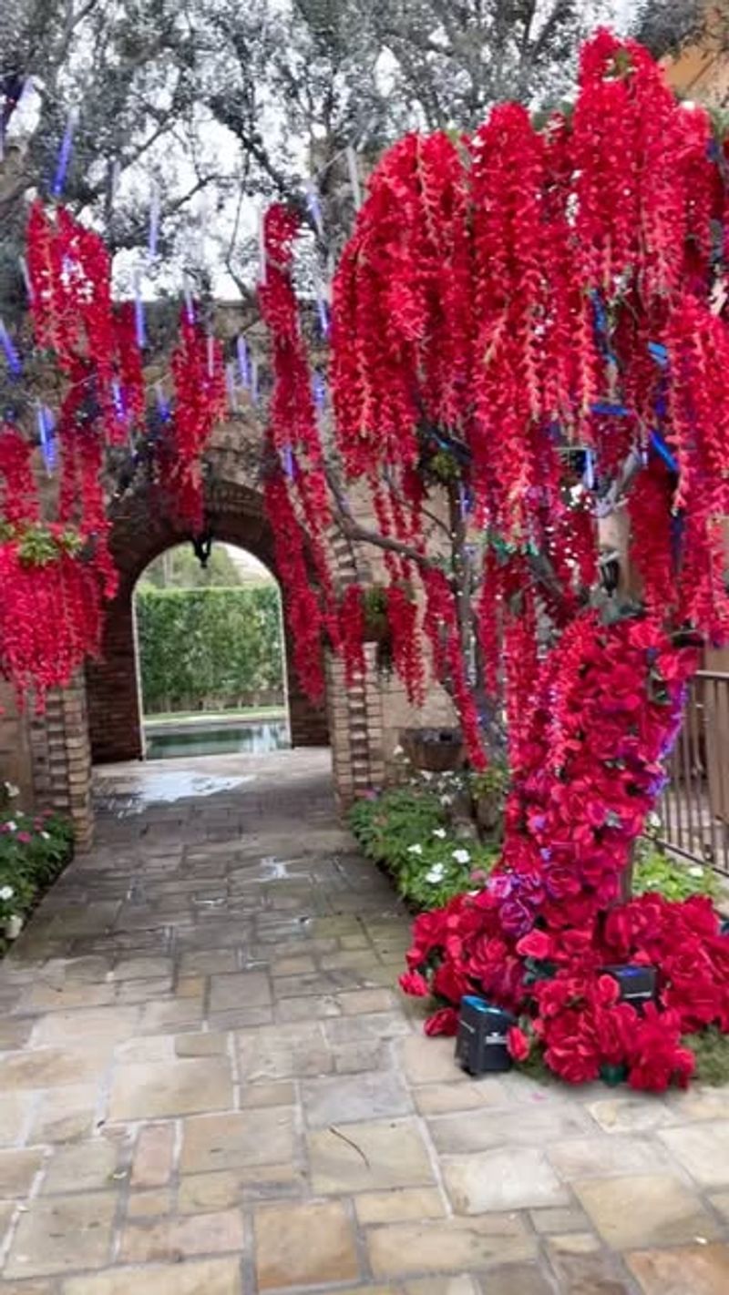 Red Wisteria