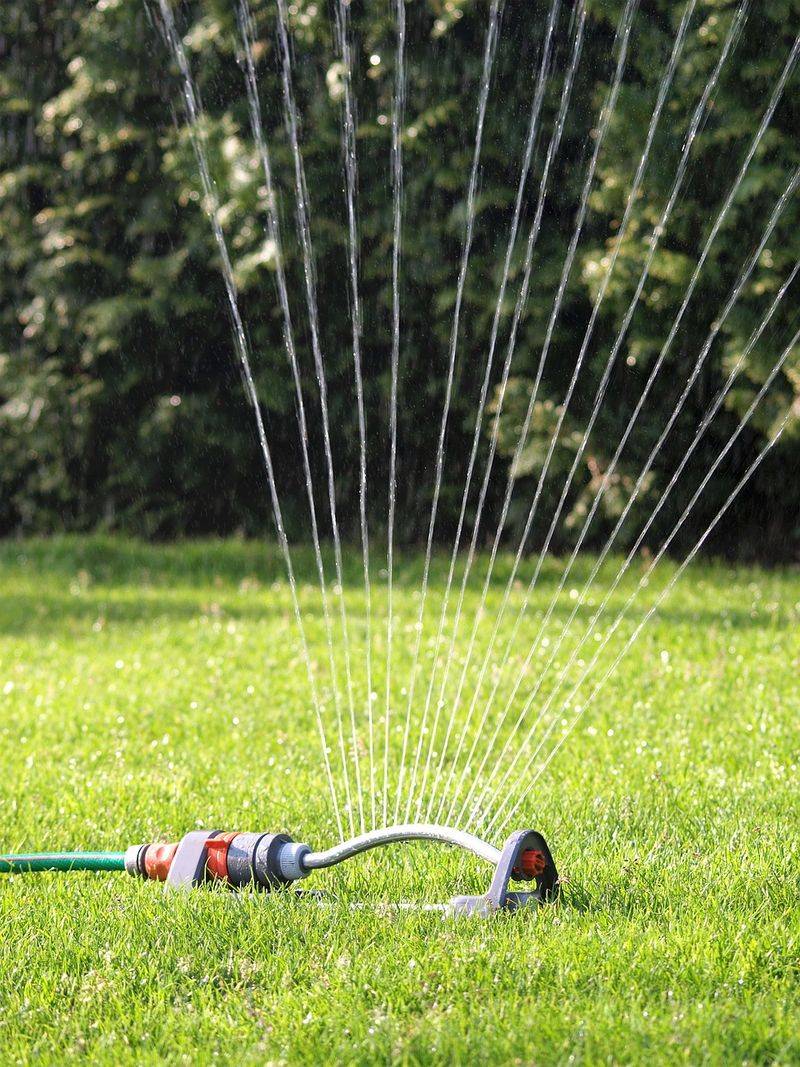 Use a Light Touch When Watering to Avoid Washing Away Seed