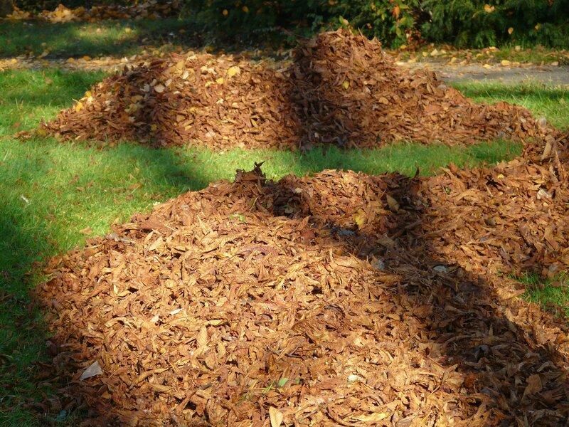 Replace Mulch If It Has A Sour Smell