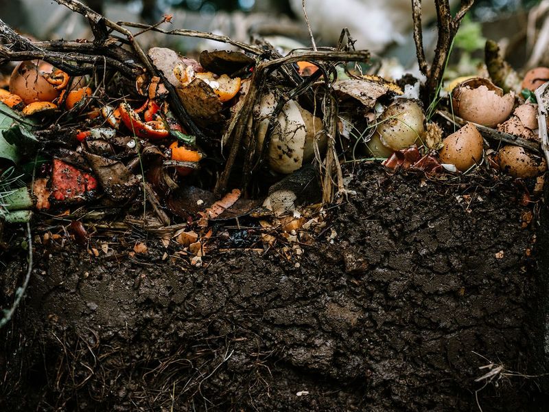 Break Down Organic Waste in Composting