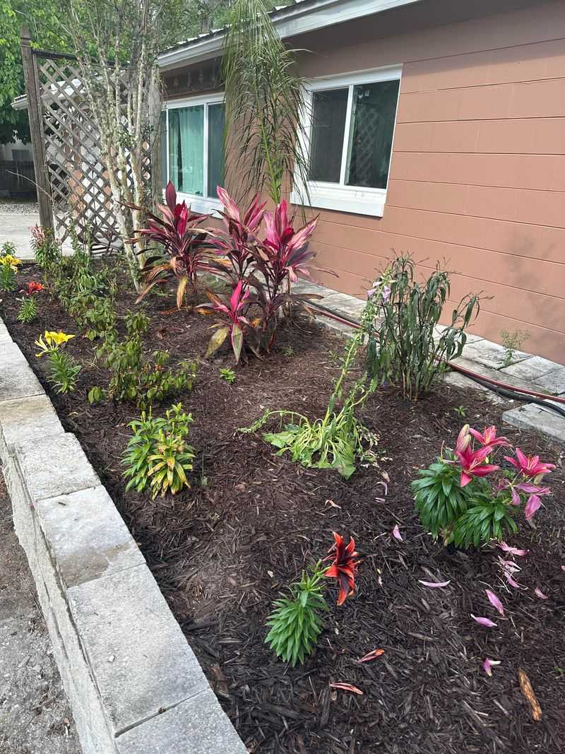 Check Mulch Around Perennials