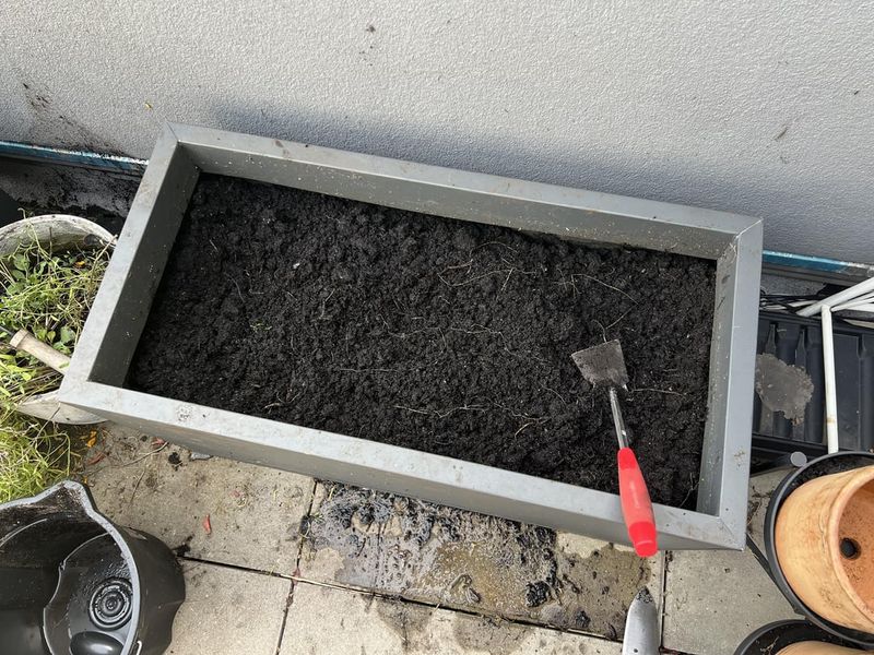 Ensure Proper Drainage in Pots