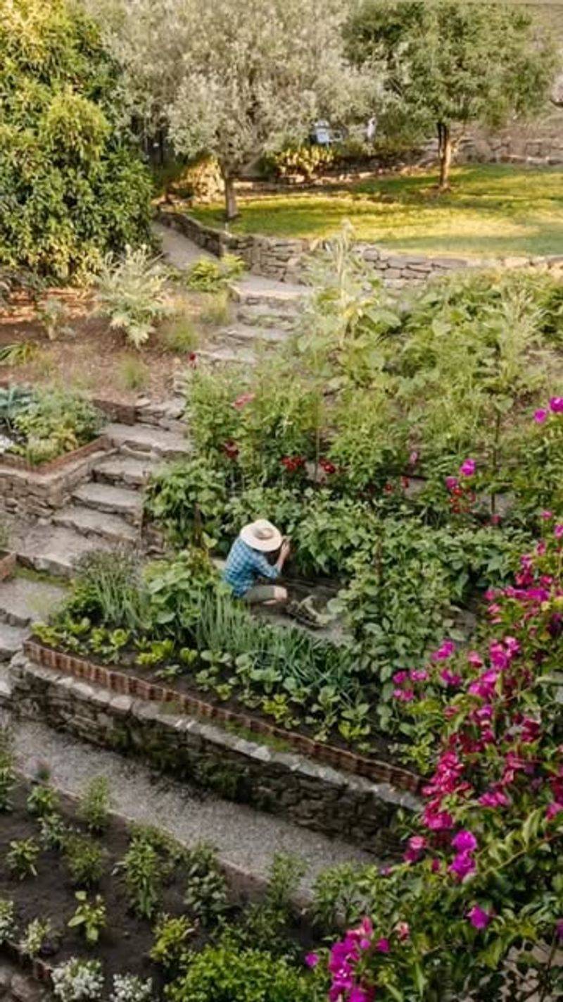 Terraced Gardens