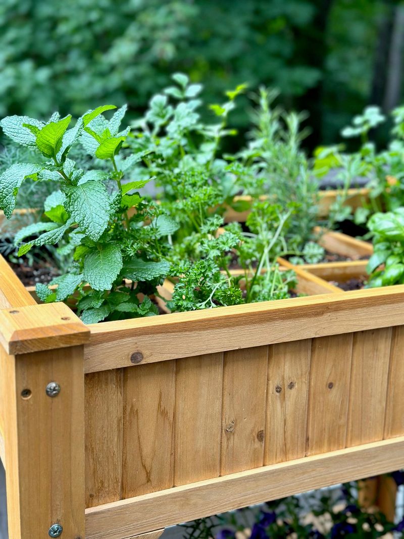 Use raised beds for better drainage