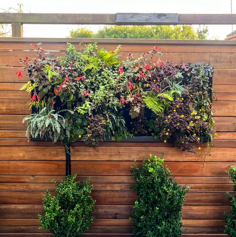 Vertical Wall Garden