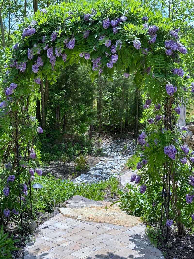 Inviting Wisteria Arbors