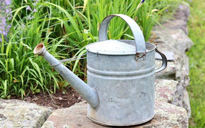 Old-Fashioned Watering Can