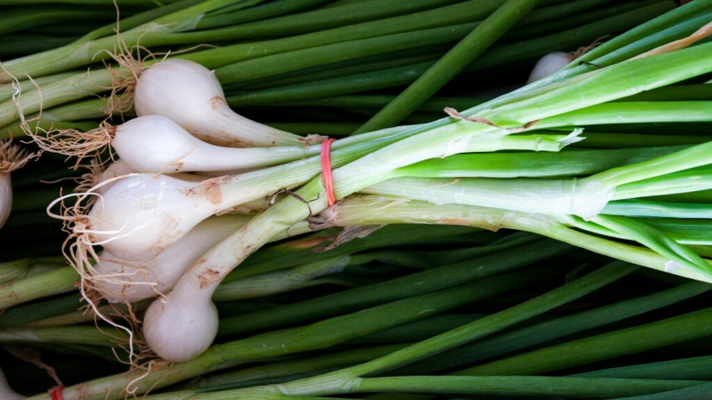 Scallions