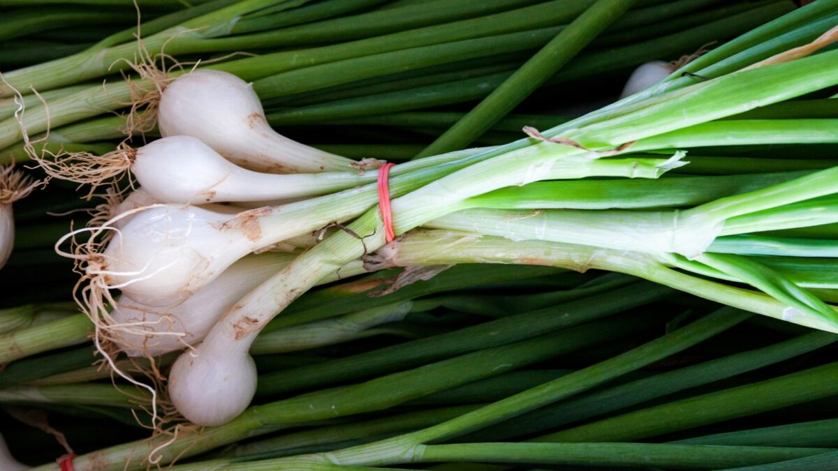 Scallion Bloom 34 Delicious Vegetables That Can Grow In Buckets Year-Round (Amazing ...