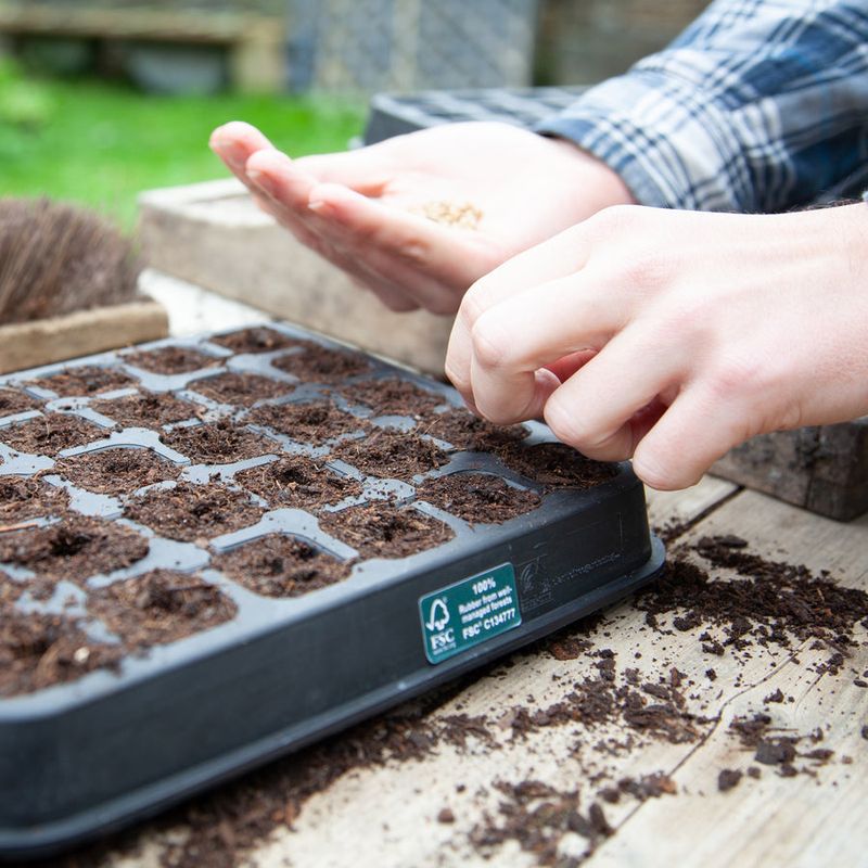 Float Trays