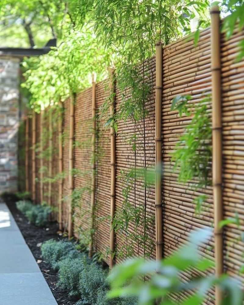 Elegant Bamboo Fences