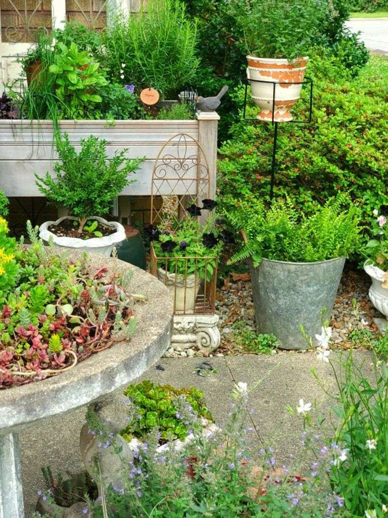 Create a Herb Garden with Containers