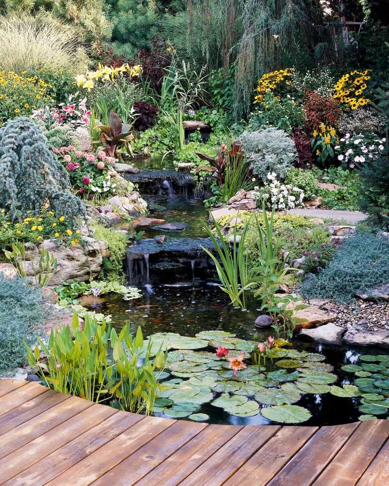 Add a small pond