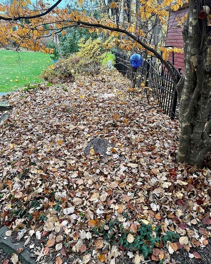 Creating Leaf Piles