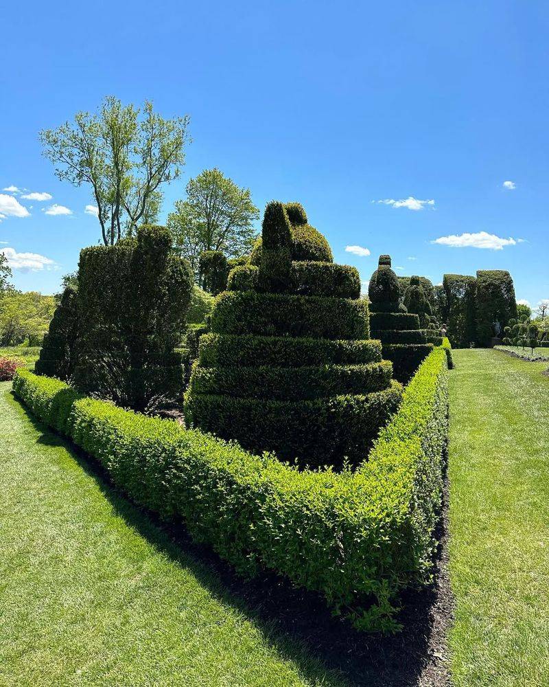 Formal Topiary