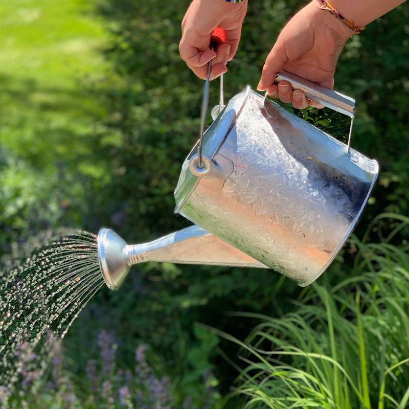 Watering Can