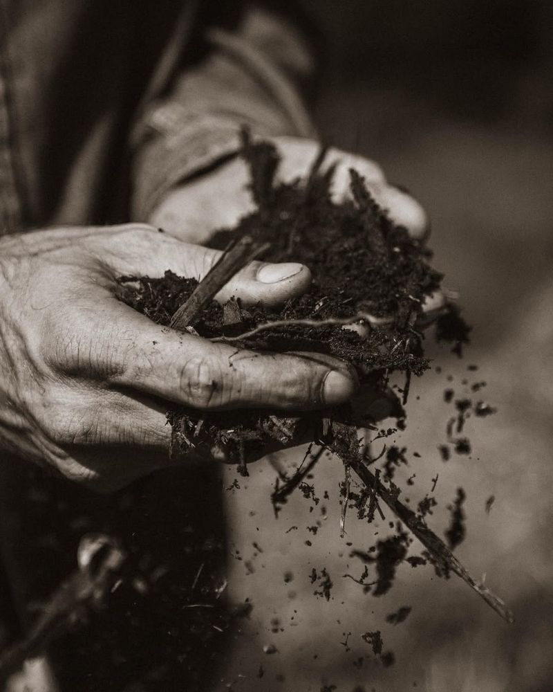 Tips For Maintaining Healthy Soil In Containers