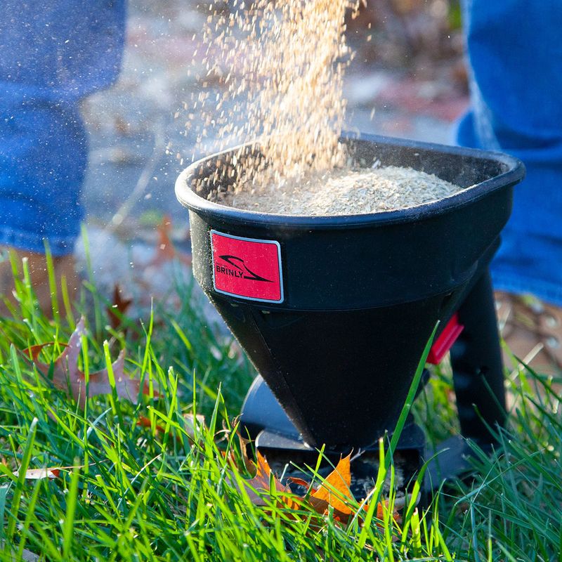 Use a Broadcast Spreader for Even Seed Distribution