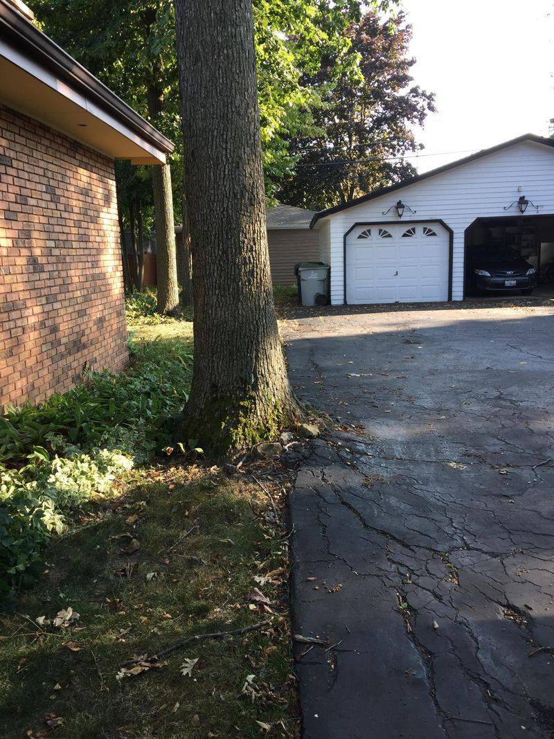 Cracked Sidewalks or Driveway Near the Tree