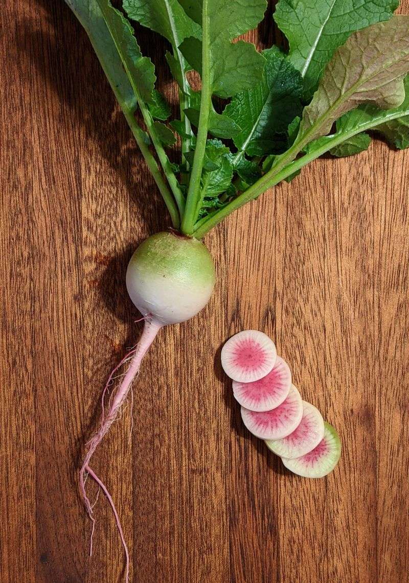 Radish Tops