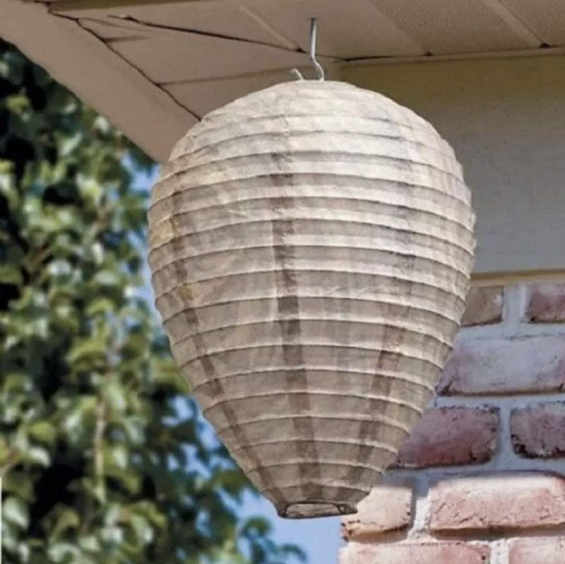 Build a decoy nest outside your property