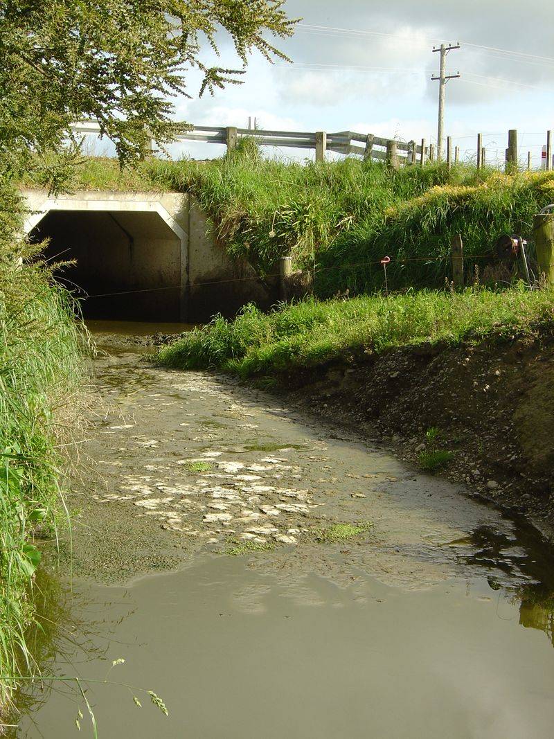 Impact on Water Quality