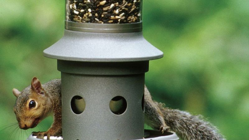 Wild Birds Unlimited Squirrel-Proof Feeder