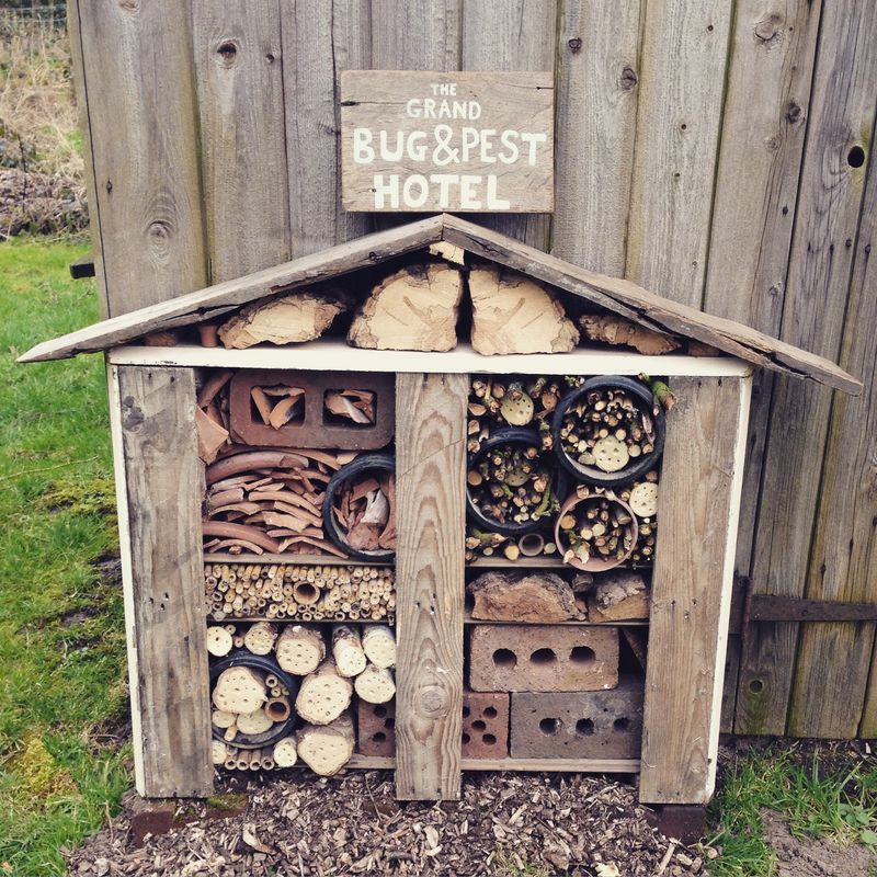 Insect Hotel Haven