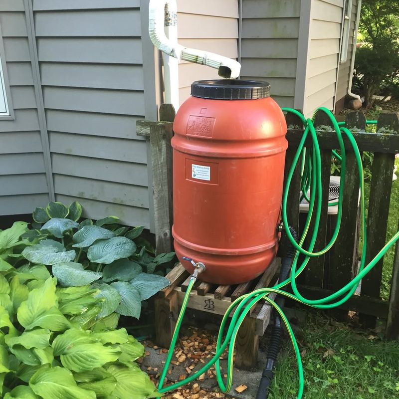 Install Rain Barrels