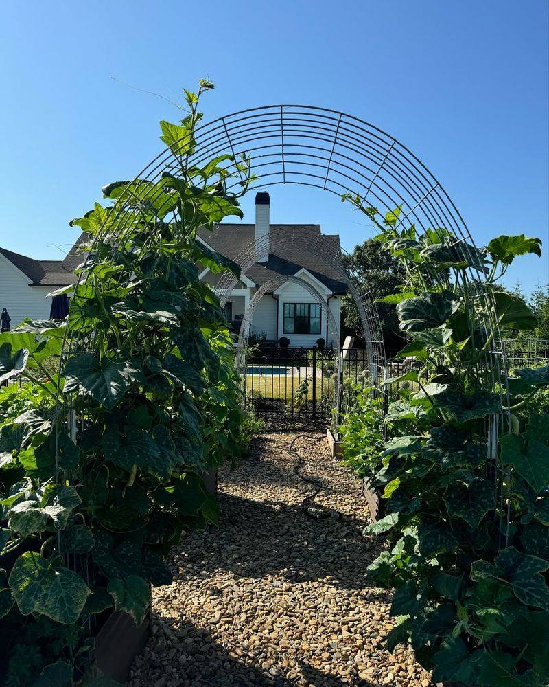 Install Trellises