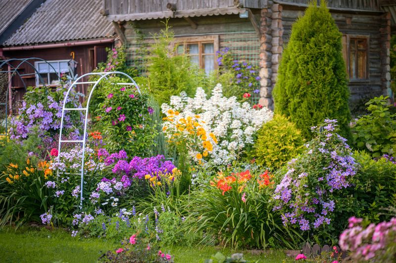 Understand Your Garden’s Climate