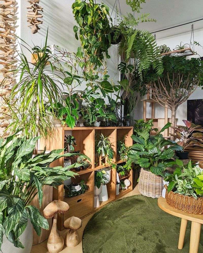 Indoor Gardening