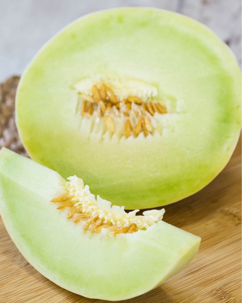 Honeydew Melon