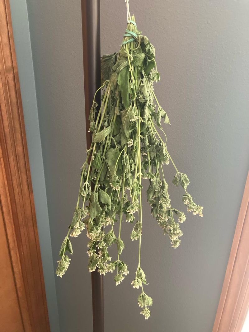 Natural Air Freshener