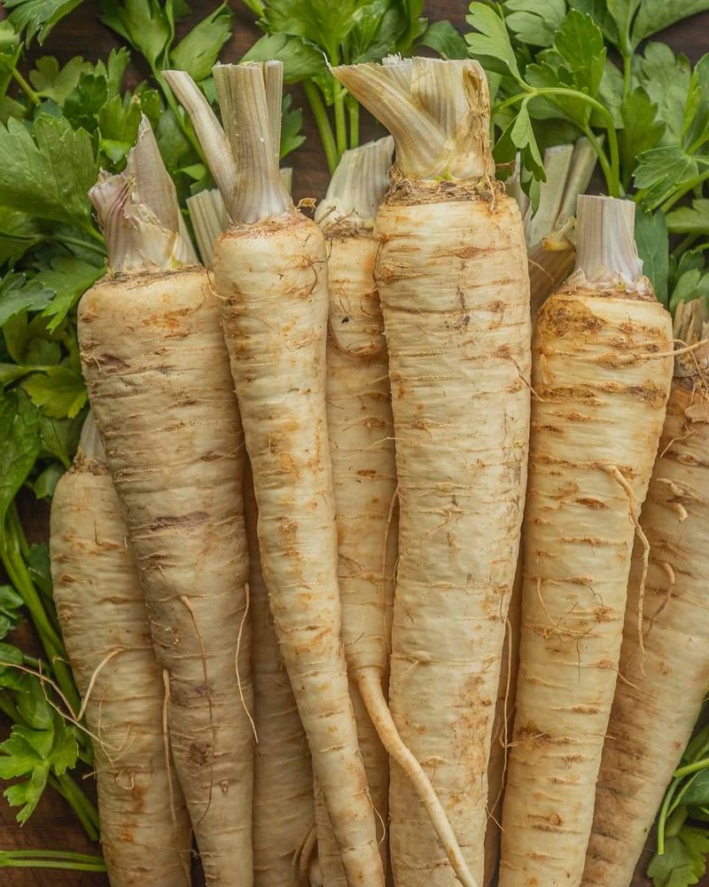 Parsnips