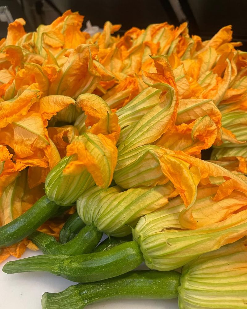 Squash Blossoms