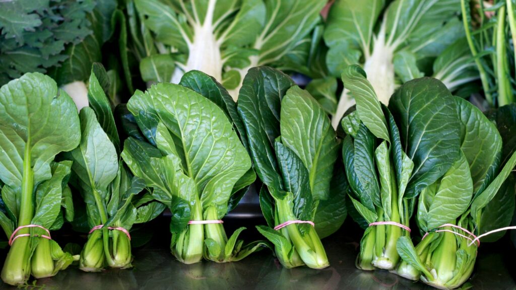 Tatsoi