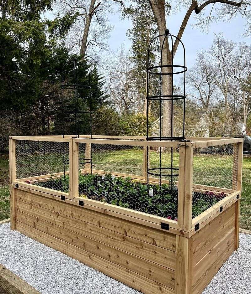 Raised Planters