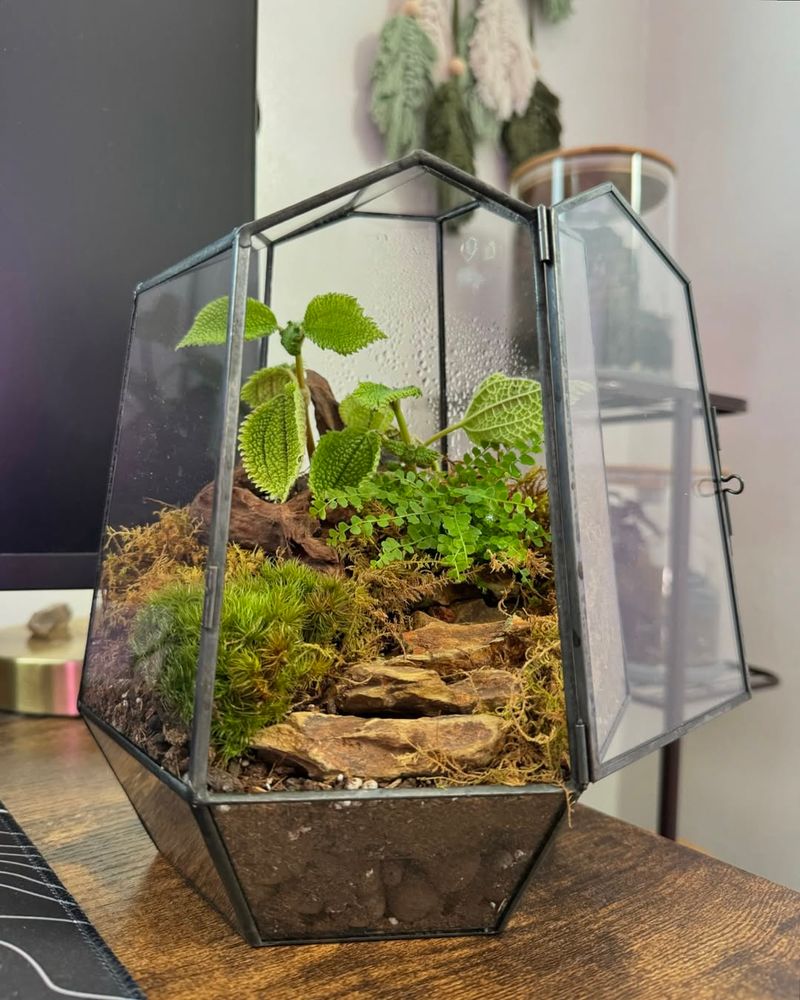 Travel-Themed Terrariums