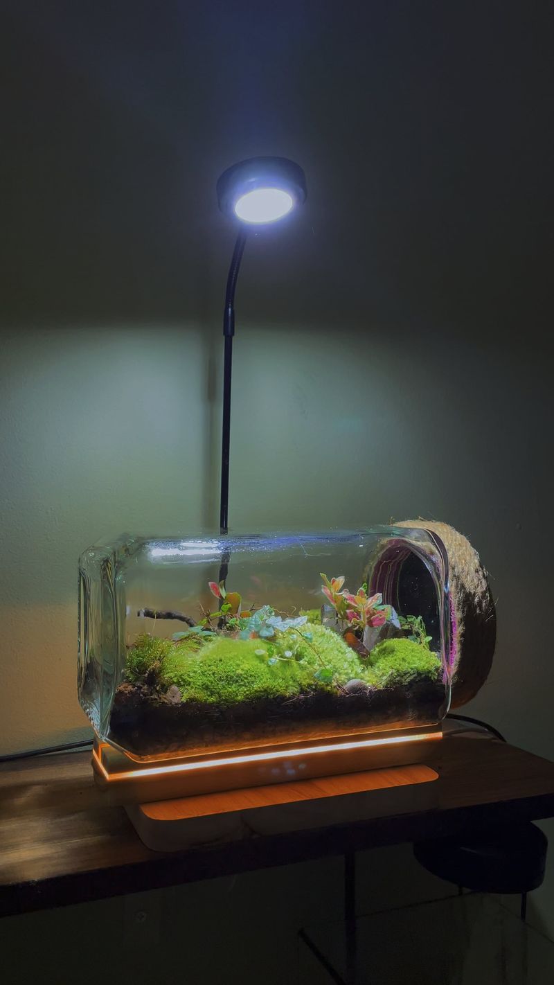 Glow-in-the-Dark Terrariums