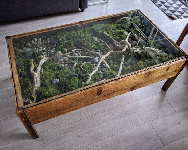 Terrarium Coffee Tables