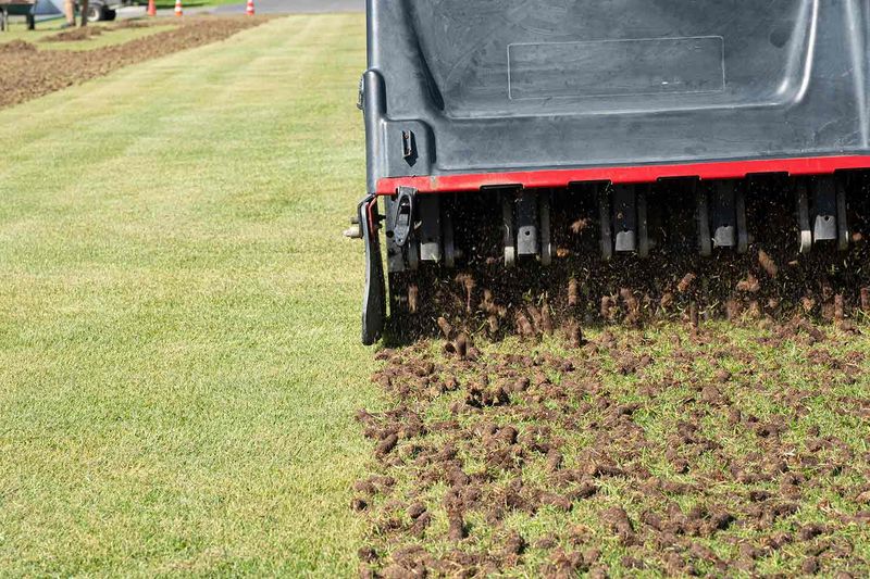 Aerate the Soil Before Planting